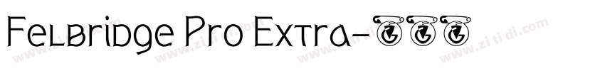 Felbridge Pro Extra字体转换